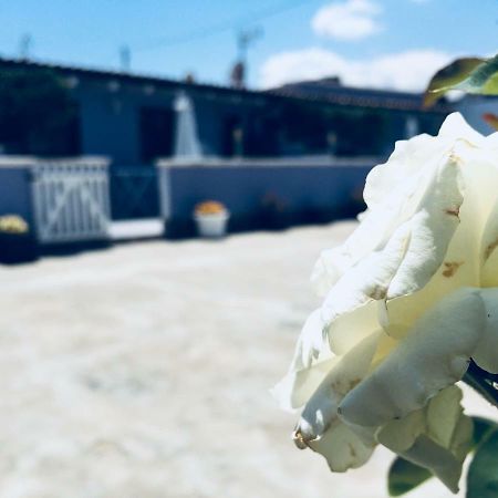 Apartament Casa Alice Syrakuzy Zewnętrze zdjęcie